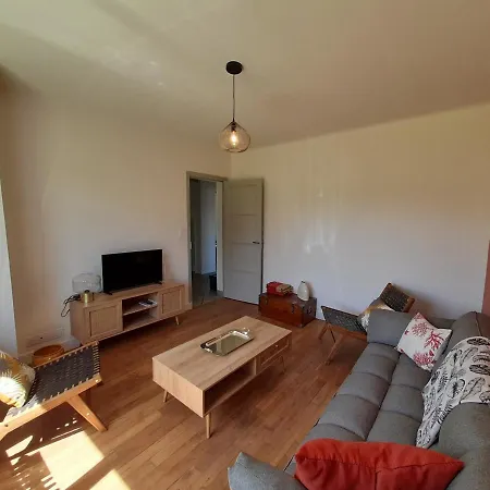 Appartement T3 Rénové Avec Jardin Et Garage, Centre-ville De - Fr-1-541-99